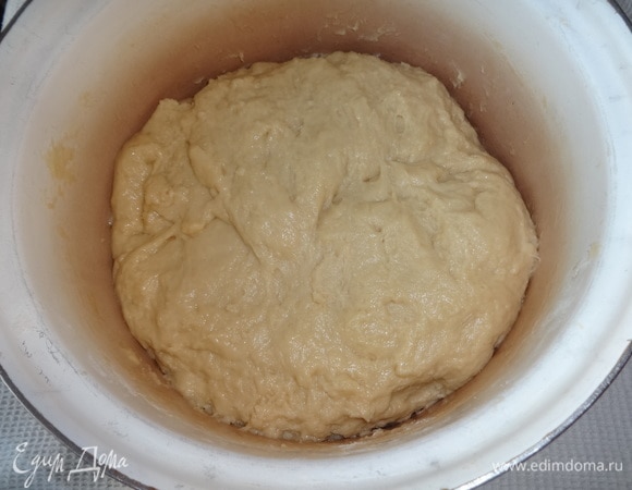 Понемногу добавляя в тесто растительное масло, руками хорошо вымесить тесто, примерно в течение 15–20 минут. Поставить тесто для подъема в теплое место. Я приспособила для этой цели микроволновку, которую предварительно разогрела.