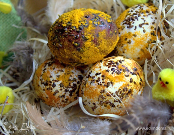 Выбирайте, какое понравится!