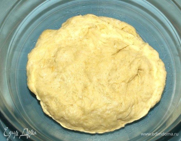 Тесто получится мягким и будет чуть-чуть липнуть к рукам. Тесто кладем в миску, закрываем пищевой пленкой и ставим в теплое место на 1 час.