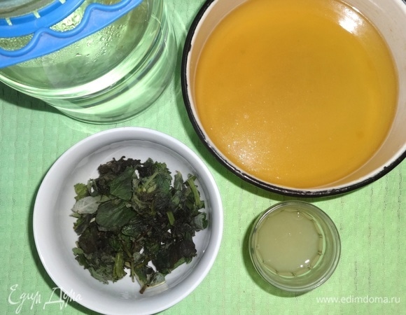 В большой банке или кувшине соединить воду, отвар имбиря и цедры с сахаром, лимонный сок и мяту. Перемешать и поставить в холодильник для охлаждения и настаивания на несколько часов.