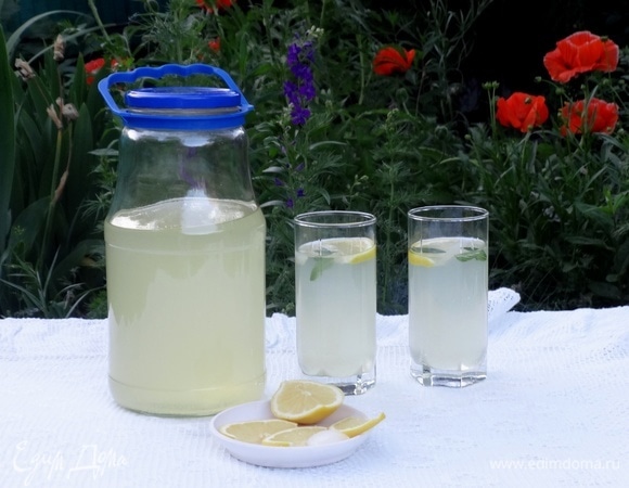 Готовый лимонад процедить через мелкое сито (с марлей). Разлить по стаканам, добавить в каждый стакан дольки лимона, кубики льда, листики свежей мяты. Пыталась фотографировать на улице, к сожалению, фото получились не очень хорошие из-за освещения. Это вечернее фото. Главное фото сделано утром.