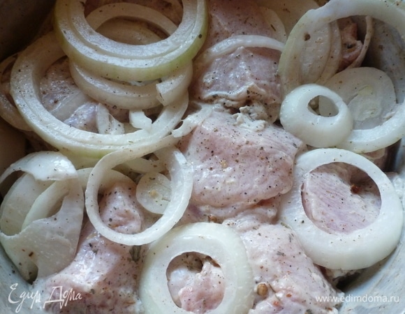 Лук нарезать кольцами. Мясо нарезать на куски, смешать с луком и залить белым вином так, чтобы оно прикрыло мясо. Оставить мариноваться на 4–6 часов. За час до приготовления шашлыков залить мясо кефиром из расчета на 1 кг мяса 0,5 л кефира.