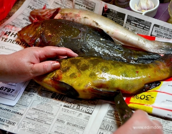 Моем рыбу и чистим от внутренностей. У меня 2 огромных леща, 2 линя и судак. Натираем солью и специями. Очищенные дольки чеснока вложить внутрь рыбы.