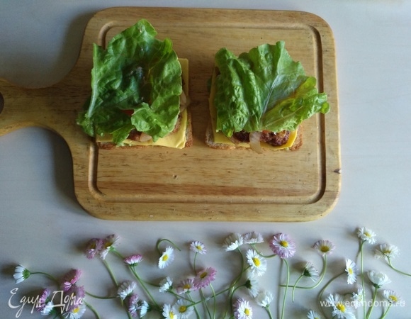 Снова листья салата.