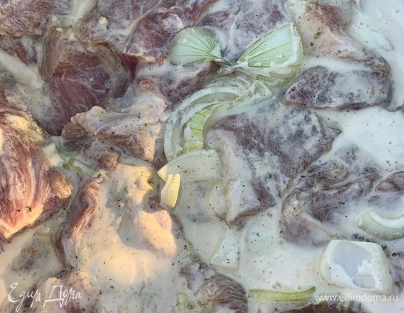 Мясо нарезать на порционные кусочки. Мед смешать со сливками. Нарезать лук, посолить, поперчить. В мясо добавить лук и залить все сливками с медом. Поставить в холодильник на 1 час. При желании можно оставить на ночь.