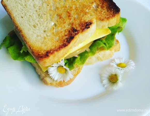 Вот и готовы наши прекрасные сэндвичи. Приятного аппетита!