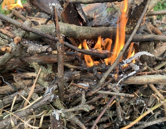Из плодовых веток готовлю костер.