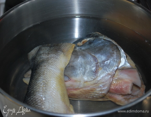 Из головы и хвоста сварите бульон. Залейте рыбу водой и варите на слабом огне до готовности, добавьте душистый и черный перец, соль и лавровый лист.