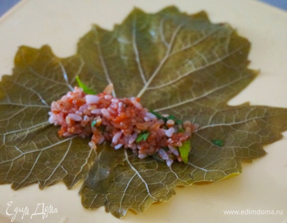 У виноградных листьев срезать черенки. Лист положить блестящей стороной на стол или на разделочную доску. На край листа выложить немного начинки — примерно 1 чайную ложку.