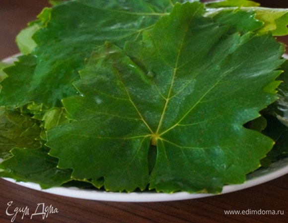 Листья для сармы нужно использовать молодые, светло-зеленого цвета, размером примерно с ладонь. Темные и старые листья не используйте — в готовом виде они будут жесткие. Готовить можно как из свежих листьев, так и из мороженых или из маринованных. В начинку можно добавлять любую зелень и специи по вкусу.