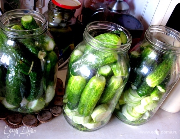 Моем огурцы, срезаем лишнее, на дно банок укладываем укроп, листья вишни, специи. Заливаем кипятком и даем постоять 10 минут.