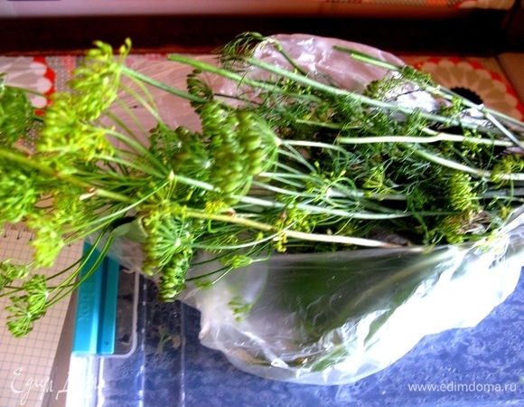 Укроп лучше купить свежий.