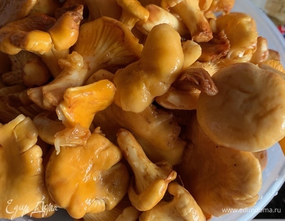 Грибы переберите, промойте, удалите загрязнения.