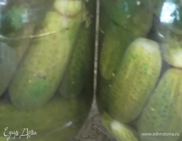 В каждую банку влить уксус. Залить рассолом. Закатать. Перевернуть до полного остывания.