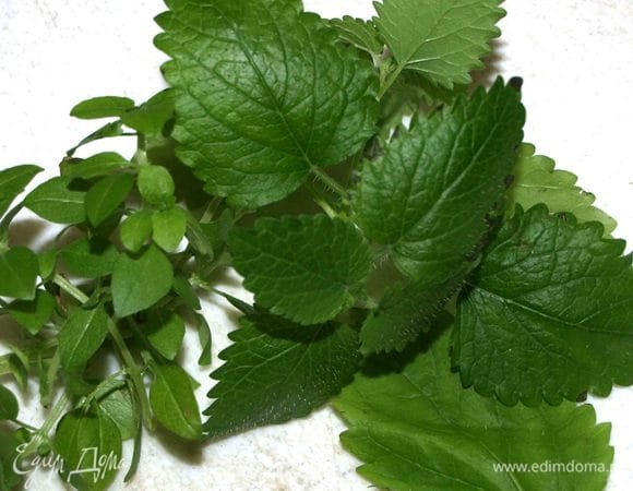 Зеленый базилик, мелиссу мелко рубим.