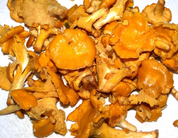 Подготовить лисички. Лисички перед жаркой обязательно тщательно высушить.