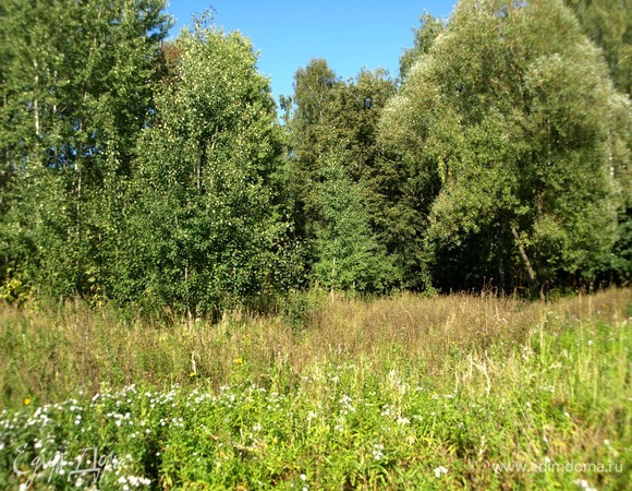 И хорошего настроения!