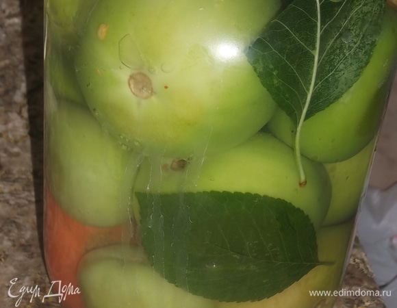 Заливаем кипящим рассолом. Если процедура проводится в банках, то прикрываем их крышками. В кастрюле — прикрываем тарелкой, чтобы помидоры не всплывали. Затем крышкой. Даем продукту полностью остыть. Убираем в холод. Готово!