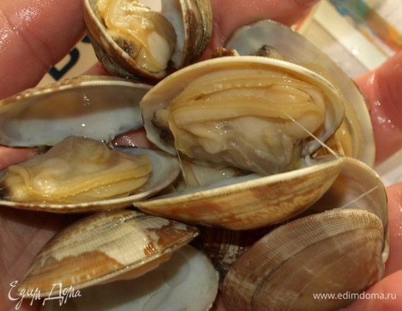 Извлечь из упаковки. Ракушки очень чистые. Если вы решите их промыть, то делайте это аккуратно.