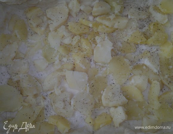 На тесто выложить кружки вареного картофеля, немного посолить и поперчить.