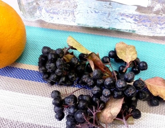 Подготовить ингредиенты для настойки. Черноплодную рябину снять с веточек, хорошо промыть и обсушить. Нам нужен 1 стакан ягод. С апельсина счистить цедру (в рецепте — щедрая чайная ложка). Ну и водку берите хорошего качества.