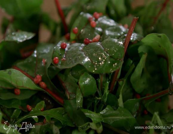 Приготовить салат: салатный микс выложить в глубокую миску, полить оливковым маслом Extra Virgin, посыпать листьями тимьяна, сбрызнуть выжатым из половинки лимона соком, добавить соль и розовый перец, все перемешать.