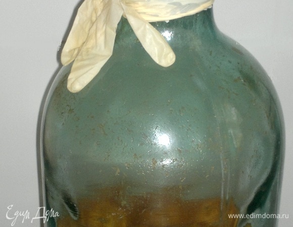 Выложить абрикосовое пюре в большую бутыль (10 л), засыпать сахаром и залить водой, перемешать. На горло бутыли надеть резиновую перчатку. Поставить сосуд на солнце на 5–10 дней. Время от времени бутыль поворачивать вокруг своей оси, чтобы она равномерно прогревалась и шел процесс брожения. Когда брожение закончится, резиновая перчатка опадет.