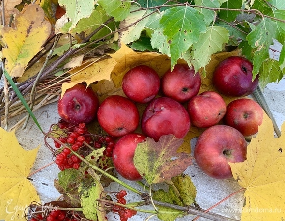 Духовку разогреть до 180°C. Тесто разморозить. Яблоки надрезать, добавить смородину, сахар смешать с корицей, выложить начинку на тесто. Скатать в рулет. Сверху на пироге сделать ножом надрезы, посыпать ванильным сахаром — это даст в результате карамельную корочку. Сбрызнуть холодной водой пирог. Положить на решетку пергамент или просто положить пирог на противень и выпекать 30–40 минут.