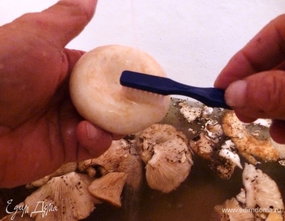 Грузди хорошо промыть от лесного мусора, листиков и иголок. Обычно грузди вымачивают несколько дней. Я так давно не делаю. Читала, что в процессе брожения фермент, который придает горечь млечникам, разрушается. Вымытые грузди я оставляю на ночь в воде, а на следующий день уже солю. Если сомневаетесь, то вымачивайте 2–3 суток в воде, меняя ее 2–3 раза в сутки.