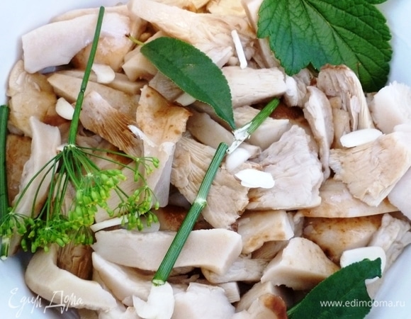 В кастрюлю уложить грузди, пересыпая пластинками чеснока, ароматными листьями и укропом.