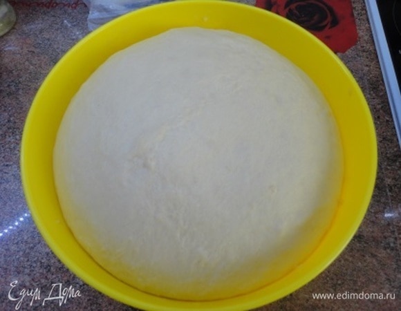 Вот так тесто поднялось. Обминаем его и даем еще раз подняться.