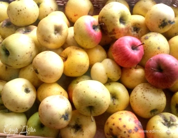 Яблоки садовые очистить.