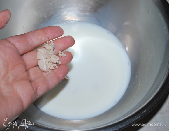 Добавьте раскрошенные дрожжи в теплое молоко. Перемешайте.