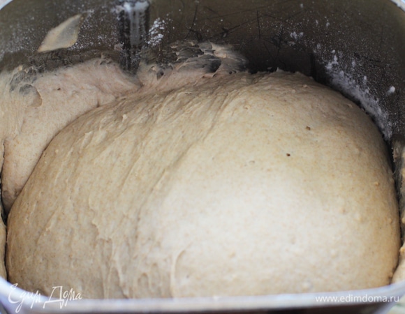 <span>Тесто переложить в миску. Накрыть пленкой или полотенцем и поставить расстаиваться на 2</span>–<span>2,5 часа при температуре около 24</span>–<span>28°C. </span>