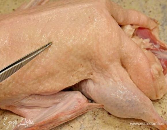 Придать птице эстетический вид. Удалить с помощью пинцета имеющиеся остатки перьев.