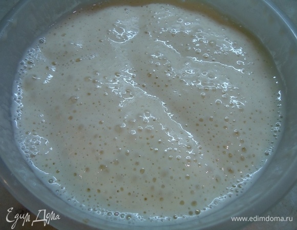 Через 12 часов закваска должна вырасти в объеме и покрыться воздушными пузырями.