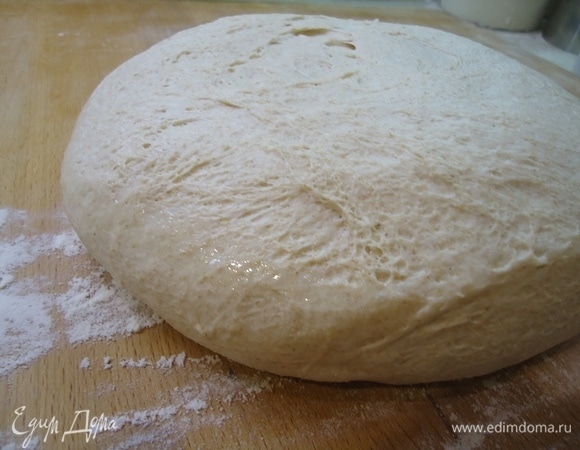 Вид теста после брожения.