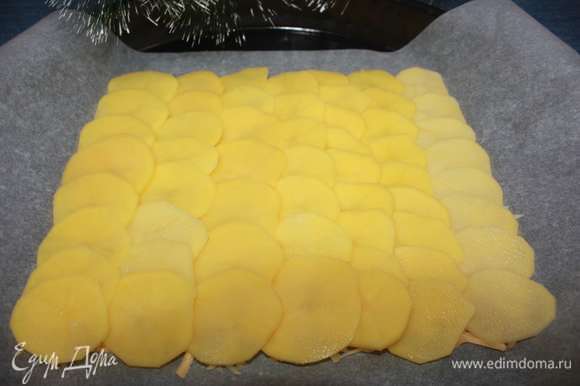 Сверху ровными рядами вплотную друг к другу кладем круглые тонкие ломтики сырого картофеля.