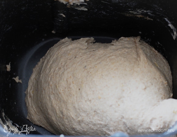 Покормите стартер и оставьте на ночь. Все продукты сложить в дефу и выставить в хлебопечке программу «Тесто ржаное».