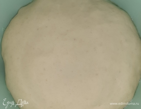 Когда тесто поднимется, обмять его и дать подойти еще раз.