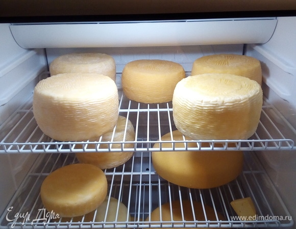 В течение первых дней необходимо высушить корочку сыра: переворачивайте его 3 раза в сутки, чтобы он сох равномерно. После того как корочка высохла, переворачивайте сыр 1 раз в день ежедневно в течение всего срока созревания. В процессе созревания на сыре может появиться налет из белой плесени — это нормально. Просто сотрите его салфеткой, смоченной в легком соляном рассоле либо в уксусе. Я делаю слабый раствор соли: 1 стакан кипяченой воды + 1 чайная ложка соли.