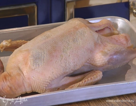 Из тушки гуся вырезать лишний жир, ошпарить ее кипятком и просушить бумажным полотенцем.