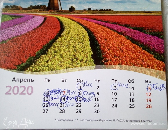 Также у меня специальный календарь, где я по дням отмечаю, какой сыр я варила. А еще все сыры фиксирую в блокноте, с весом и литражем молока, из которого я варила сыр. Все это важно, чтобы не было путаницы с сырами.