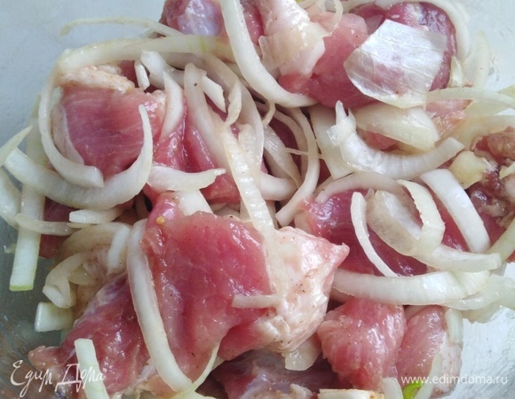 Свинину нарезать на куски средней величины. Добавить нарезанный полукольцами лук, соль, приправу для свинины, паприку и ложку растительного масла. Перемешать. Оставить на 1 час.