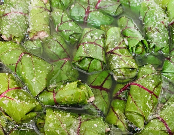 Заливаем кипятком так, чтобы вода слегка прикрыла долму. Сверху посыпаем небольшим количеством соли (не забудьте, что соль есть и в фарше), добавляем растительное масло.