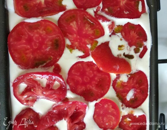 Приготовить заливку. Смешать сметану, яйцо, добавить немного соли. Залить заливкой кабачки с фаршем. Помидоры нарезать кружочками. Выложить поверх заливки. Духовку разогреть до 200°C. Отправить форму в духовку на 30 минут.