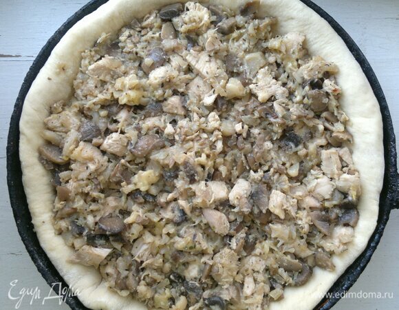 Форму для выпечки смазать растительным маслом. Выложить пласт теста в форму, сделав бортики. Выложить начинку в основу пирога.