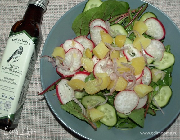 Редис, огурец промыть и нарезать кружочками. Лук-шалот очистить и тонко нарезать. Картофель очистить и нарезать кубиками.