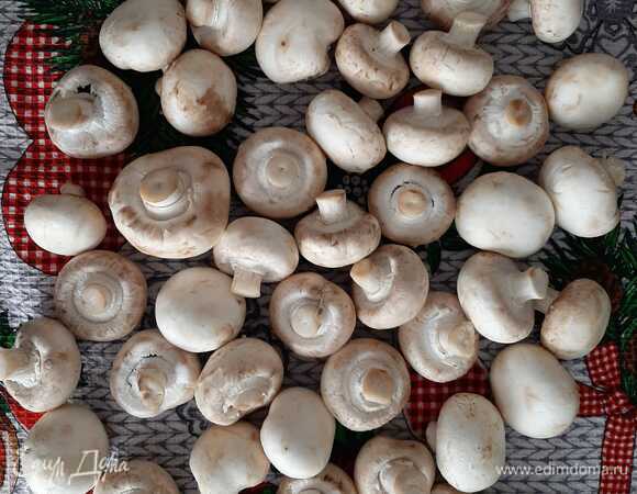 Шампиньоны промыть и просушить.