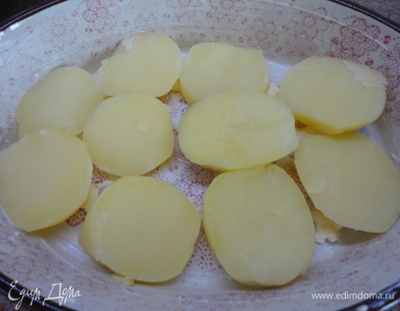 Картофель отварите почти до готовности, но не разваривайте. Нарежьте кружочками толщиной 1 см. Форму смажьте сливочным маслом и выложите картофель одним слоем.